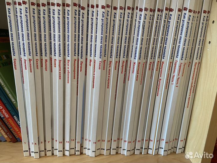 Тело человека (деагостини) +2 модели с органами