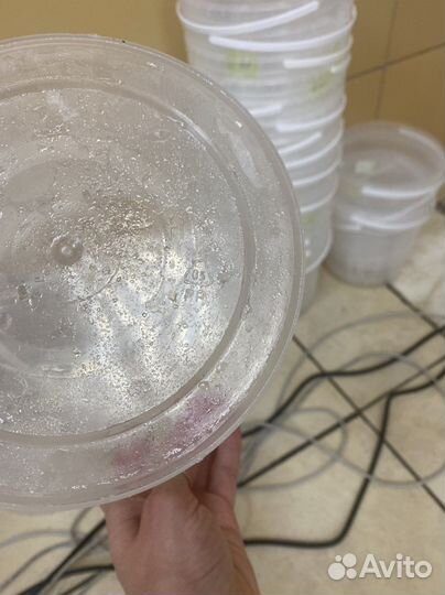 Ведро пластиковое с крышкой объём 3,3 и 3,5 литра