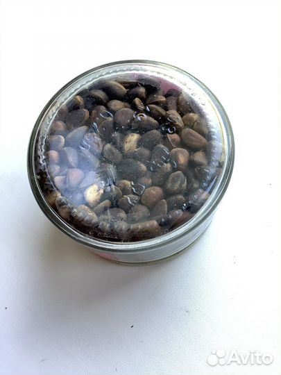 Кедровый орех (прошлогодние)