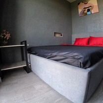 1-к. квартира, 27 м², 2 кровати