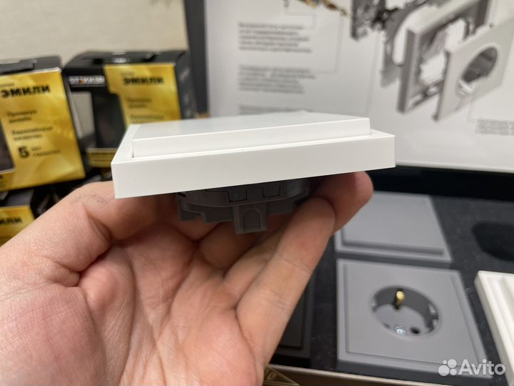 Розетка Эмили,Тренд