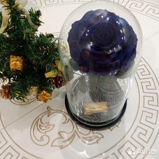 Роза в колбе king