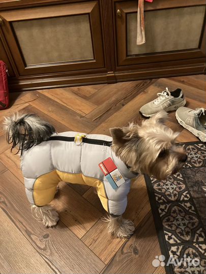 Йорк для вязки с нашей оплатой 5000 развязан