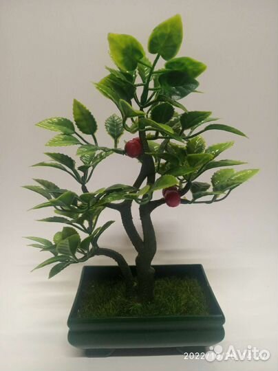 Искусственные растения для декора