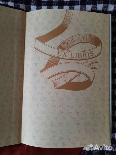 Время Библиомантов Начало пути, Кай Майер