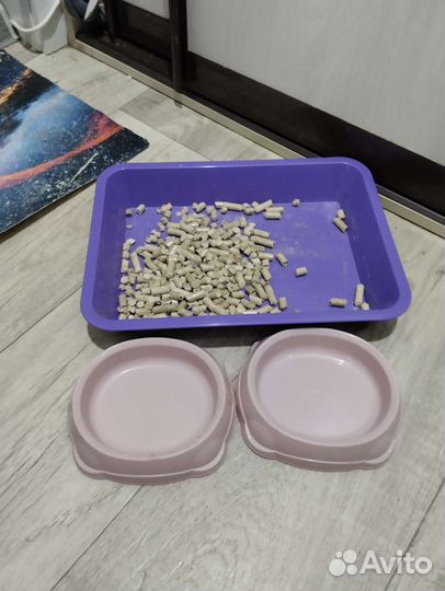 Товары для животных