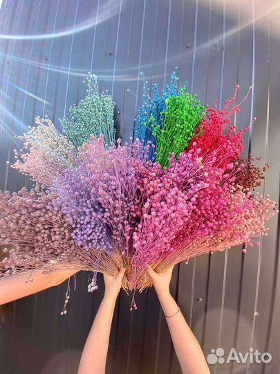 Лён окрашенный, сухоцветы оптом по РФ