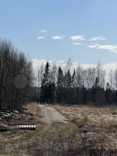 Участок 40 га (СНТ, ДНП)