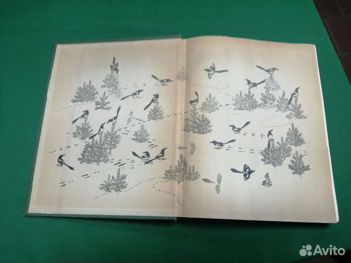 Виталий Бианки Лесная газета 1955г