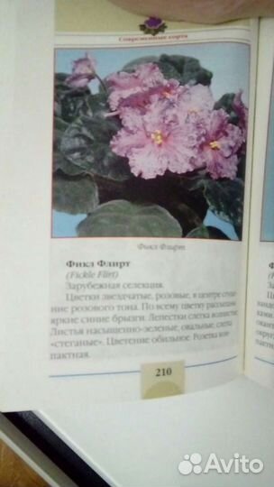 Книга о фиалках