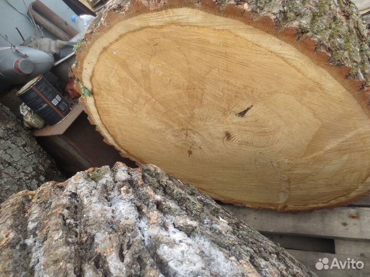 Колоды дубовые для рубки мяса, под наковальню