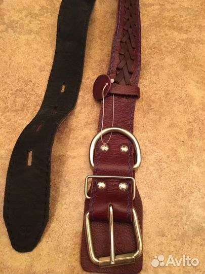 Ошейник поводок намордник собака