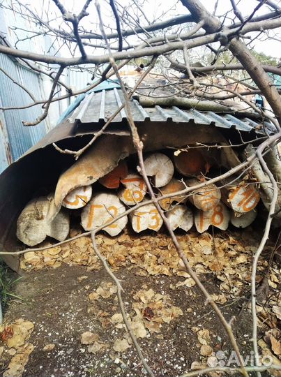 Сруб для бани 6 на 4