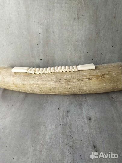 Четки перекидные из бивня мамонта