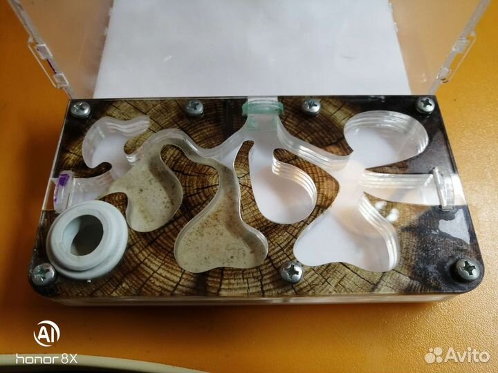 Муравьиная ферма mini