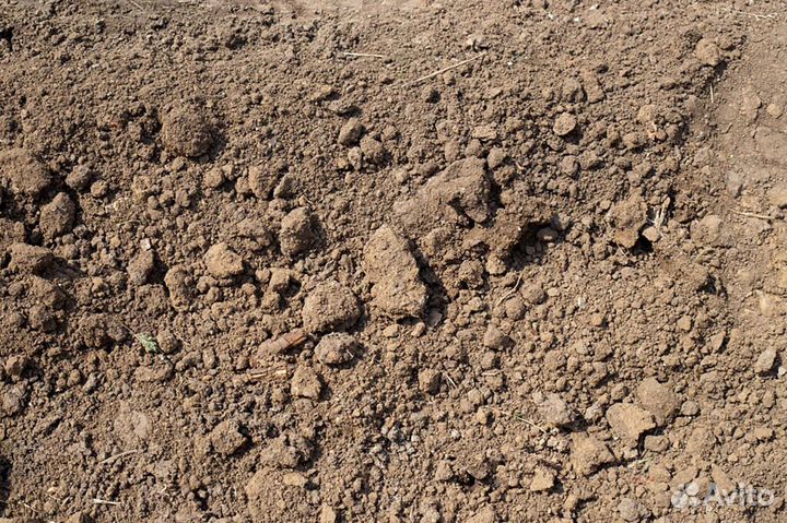 Пескогрунт