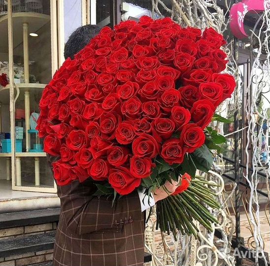 Высокие розы