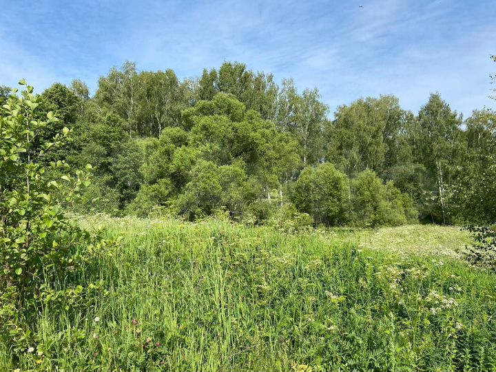 Участок 12 сот. (ИЖС)