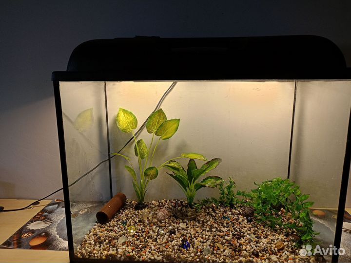 Аквариум