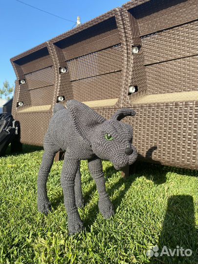 Кот сфинкс вязанный