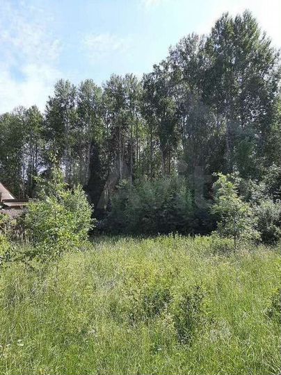 Участок 10,7 сот. (СНТ, ДНП)