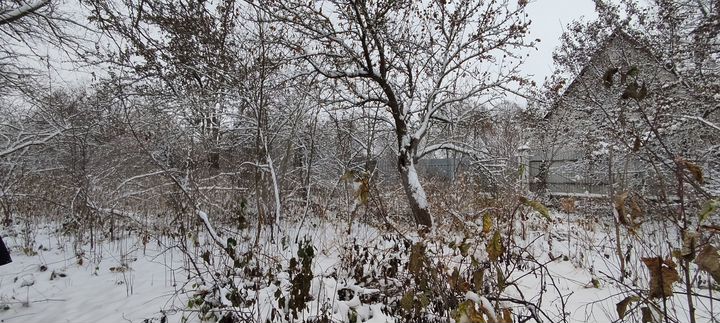 Участок 10,6 сот. (ИЖС)