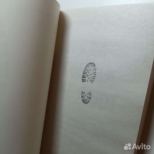 Когда собаки не лают. Анджела Галлоп