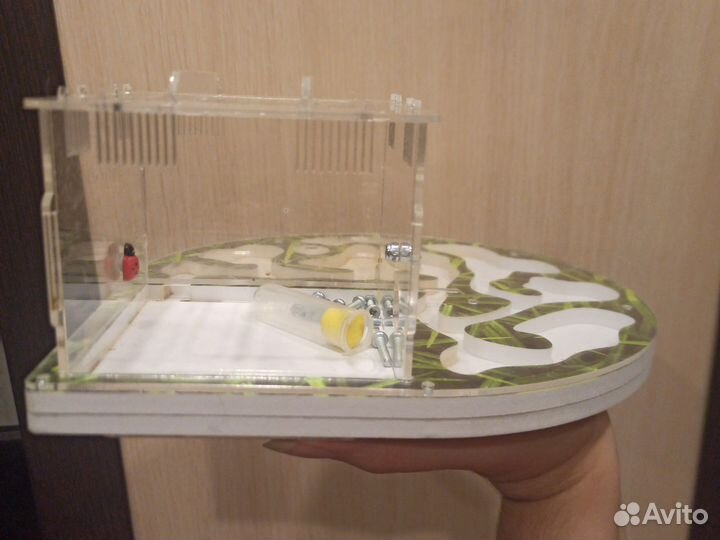 Формикарий - муравьиная ферма с комплектом