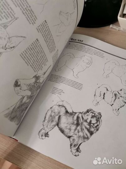 Книга Полный курс рисования и живописи