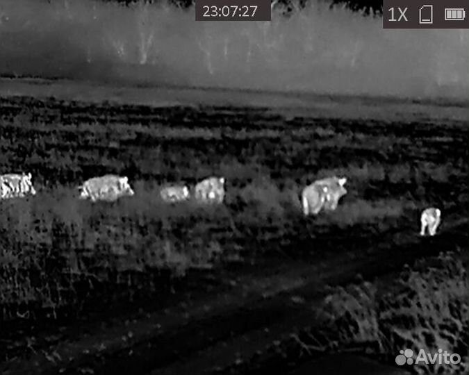 Тепловизионный прицел аркон alpha st 25