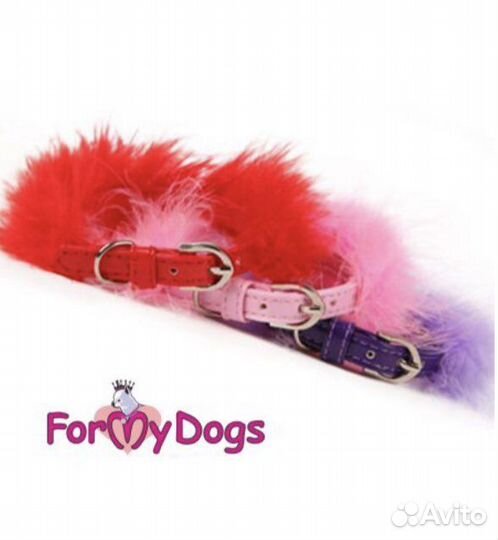 Ошейник для собак