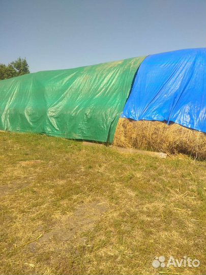 Продам сено в тюках 2023