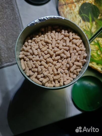 Аквариум с рыбками