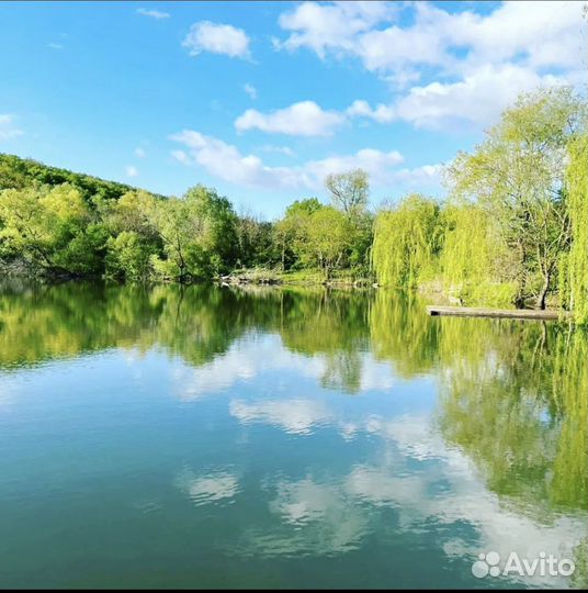 Прогулки на SUP бордах