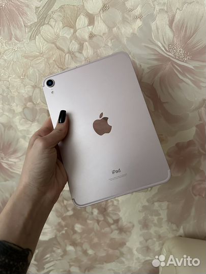 iPad mini 6 cellular wi-fi