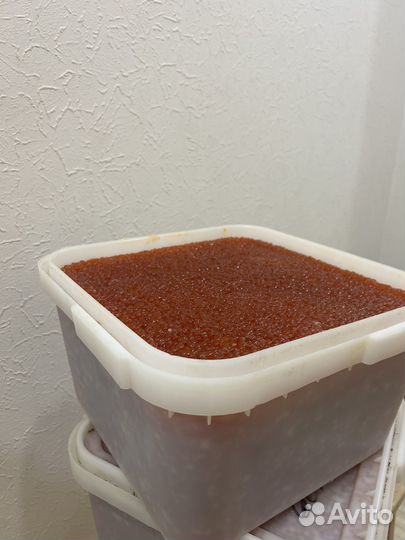 Красная икра 2023 опт премиального качества