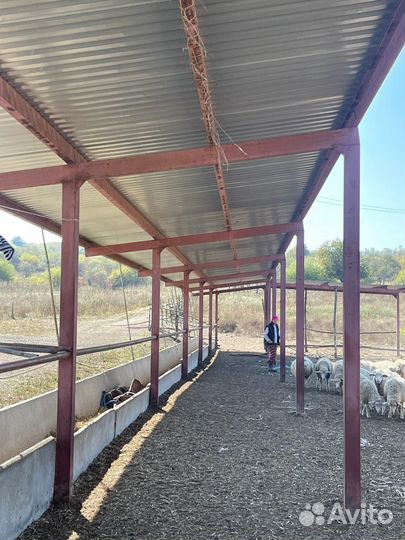 Животноводческая ферма продаю