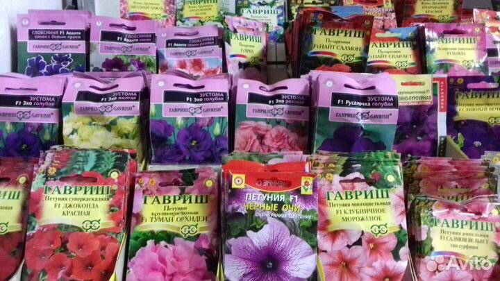 Семена овощных, кормовых и цветочных культур