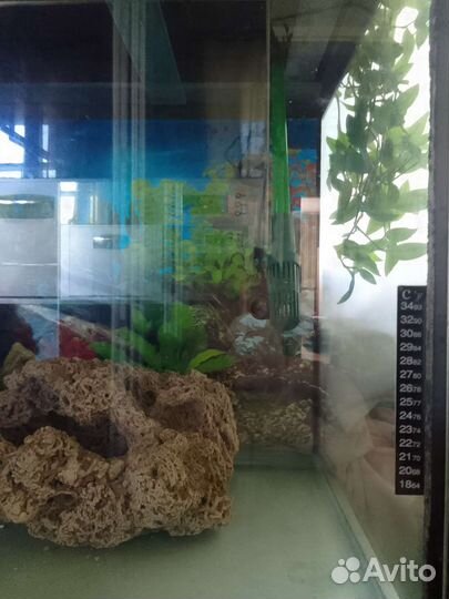 Аквариум 240 литров
