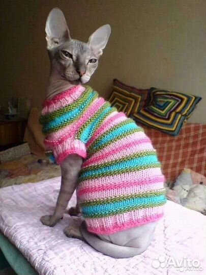 Одежда для кошек и собак ручная работа