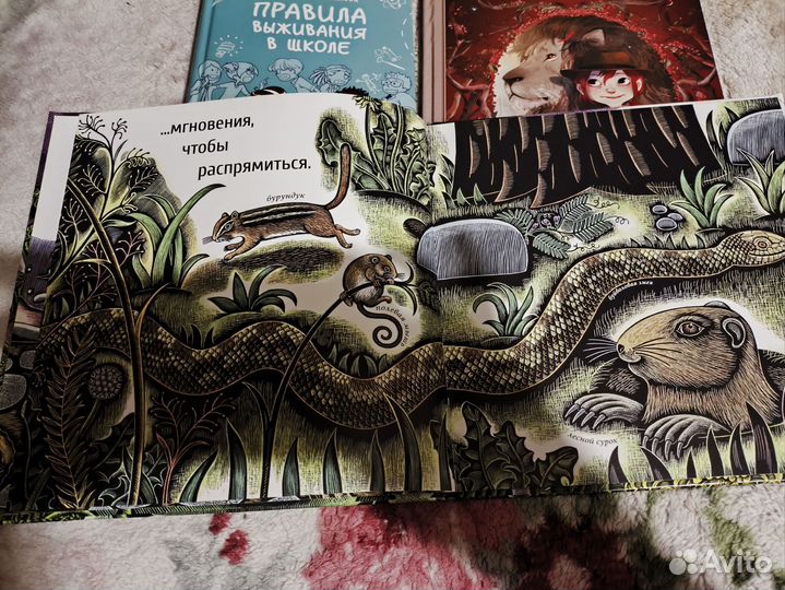 Дневники вишенки.правила выживания в школе