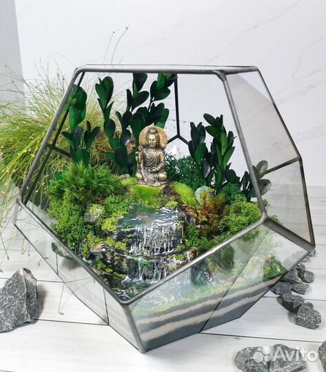 Флорариум, моссариум. Подарок