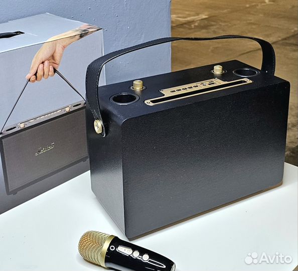 Караоке музыкальная колонка