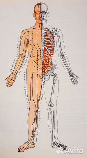 Атлас иглорефлексотерапии