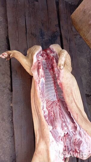 Мясо свинина домашняя