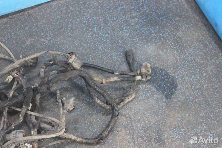 Проводка двигателя Hyundai Lavita (Хендай Лавита)