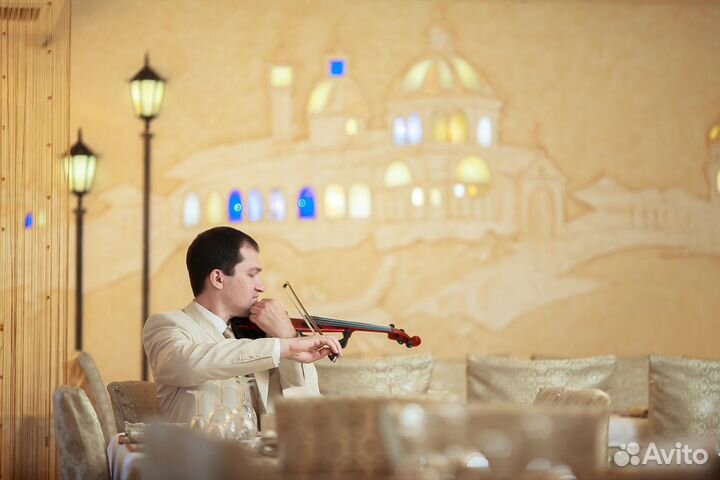 Скрипка на праздник - Андрей Сеничев