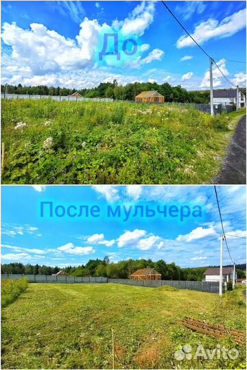 Расчистка участка мульчер