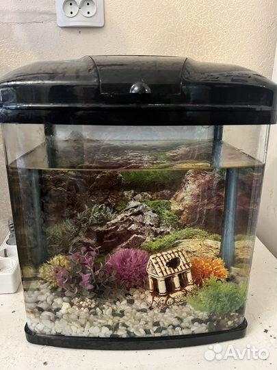 Аквариум с фильтром и нагревателем
