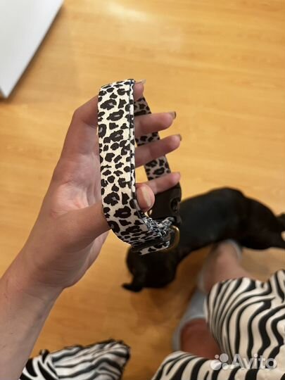 Ошейник для собак